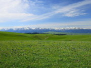 南方清水泵到底有沒(méi)有吸程？