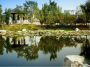 為什么現在南方電機比以前更容易燒壞？